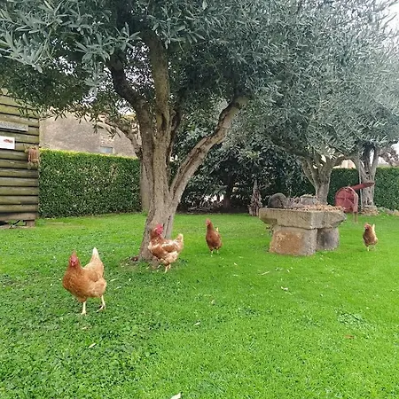 Rurales Pujol - Relax & Naturaleza - Costa Brava Landhaus *